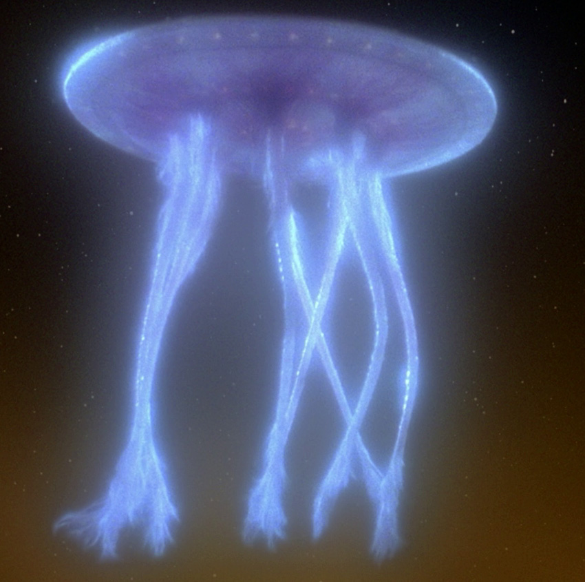Species image Space Jellyfish