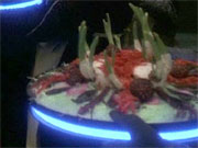 Food image Palamarian Sea Urchin
