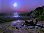 Starship image Moonlight On The Beach