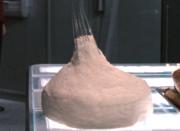 Starship image Mashed Potato