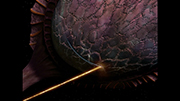 Starship image Phasers - Type Ten - Image 5