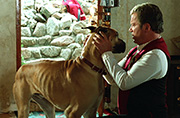Gallery Image Great Dane<br>Image 1