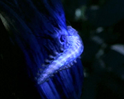 Random Image