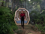 Starship image Wooded Parkland
