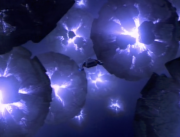 Starship image Particles - Verteron