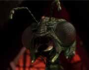 Gallery Image Xindi Insectoids<br>Image 6