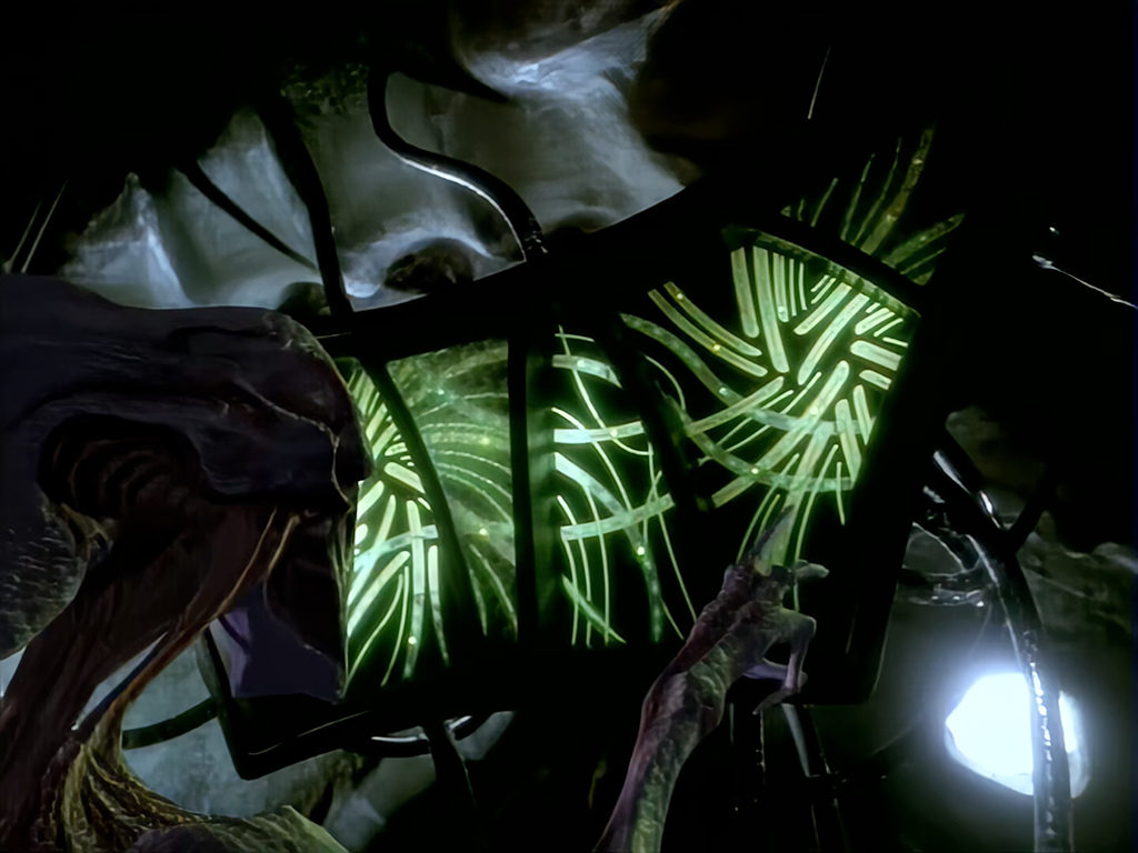 Starship internal 8472 Bioship