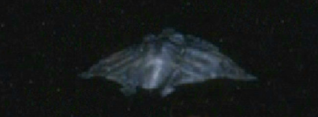 Quiz image