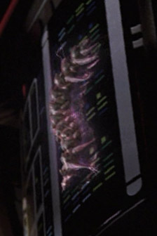 Species image Dark Matter Lifeform
