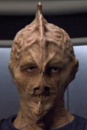Species image Dream Species