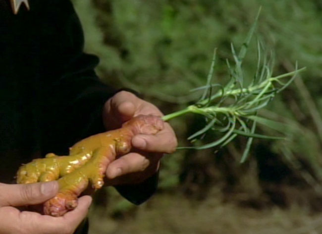 Food image Leola Root