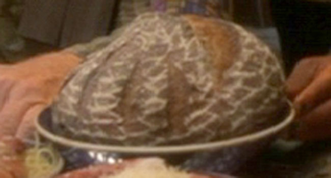 Quiz image