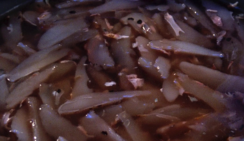 Food image Vermicula