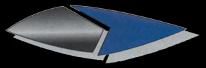 29th century starfleet insignia.  Also used for chronowerks