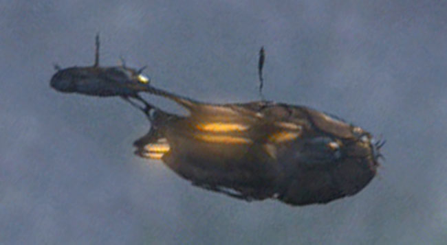 Quiz image