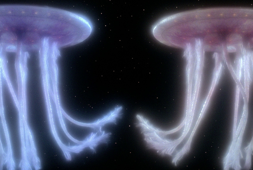 Species image Space Jellyfish