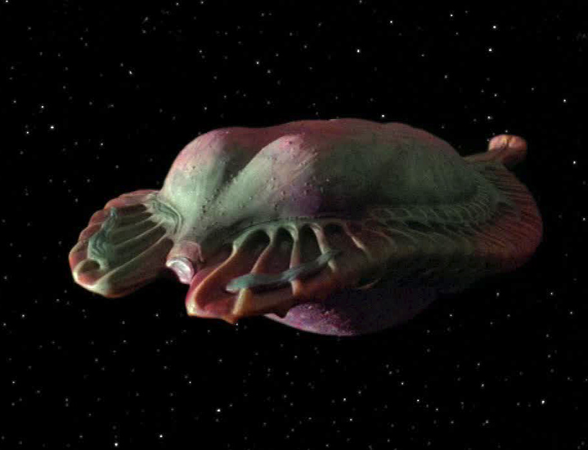 Species image Space Whale