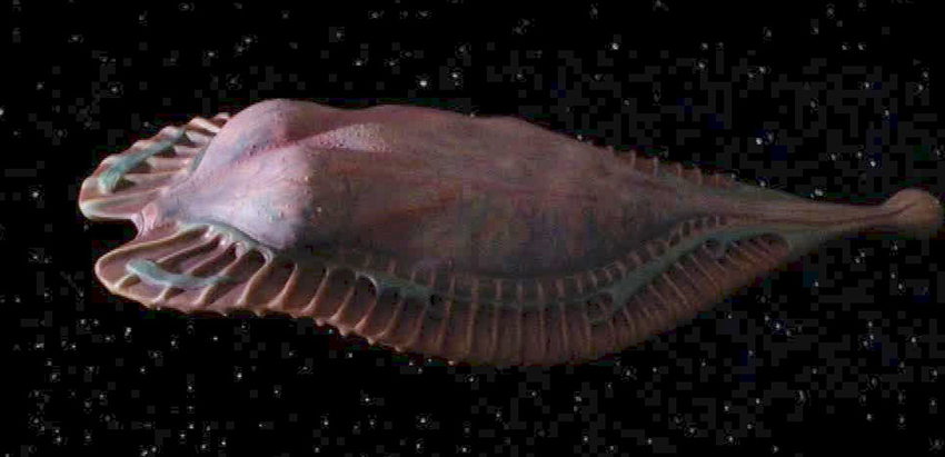 Species image Space Whale