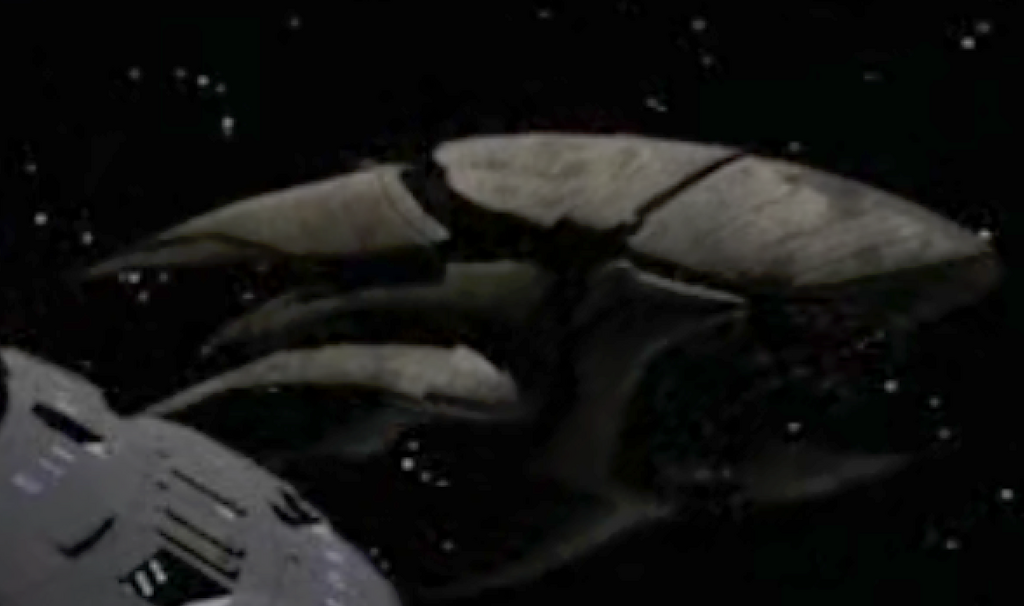 Starship image Chaotic Species