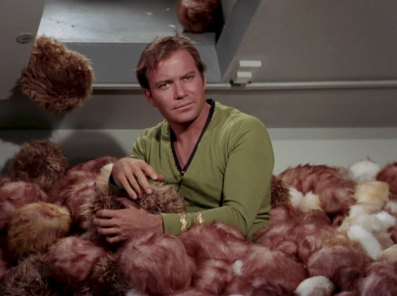 Species image Tribbles