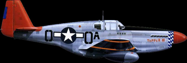 P-51 Mustang Fighter