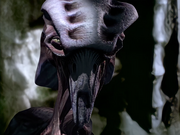 Gallery Image 8472<br>Image 5