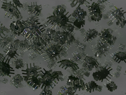 Gallery Image Borg<br>Image 6