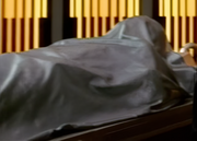 Gallery Image Frank Darwin