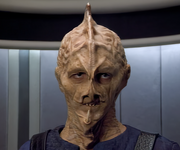 Gallery Image Dream Species<br>Image 1