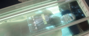 Starship image Androids - Golem