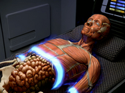 Gallery Image Danara Pel