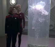 Starship image Unnamed Entity