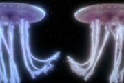 Starship image Space Jellyfish