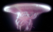 Gallery Image Space Jellyfish<br>Image 13