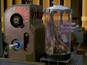 Gallery image General Image #97