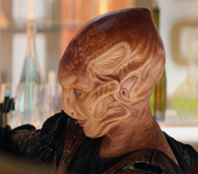 Species image Images/K/Kelzing5.png