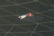 Starship image Larson Class