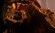 Gallery Image Klingon Lizard Dog<br>Image 3