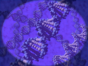 Sci=tech image Images/M/MolecularMicroscope2.png
