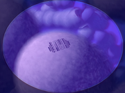 Sci=tech image Images/M/MolecularMicroscope3.png