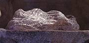 Starship image Mummification Weapon - Image 1