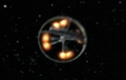 Starship image Orion Warship