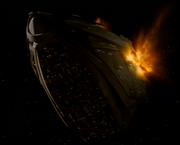 Gallery Image Predator Class