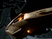 Gallery Image Predator Class