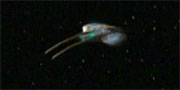 Starship image Qomar Ship 1