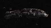 Starship image Rigelian Freighter