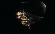 Starship image R'ongovian Flagship