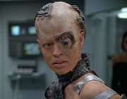 Gallery Image Seven of Nine