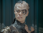 Seven of Nine
