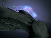 Gallery Image Space Ocean Electric Eel<br>Image 3